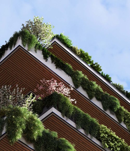 architectrural-design-creeping-plants-render